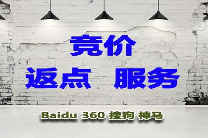 竞价SEM托管服务：成功案例揭秘